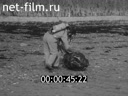 Кадр видео