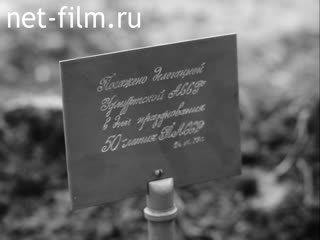 Кинохроника Посадка елей на аллее Дружбы в честь 50-летия ТАССР. (1970)
