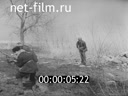 Кадр видео