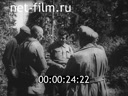 Кадр видео