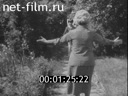 Кадр видео