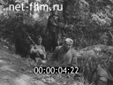 Кадр видео