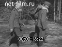 Кадр видео