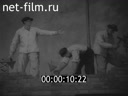 Кадр видео