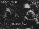 Footage frame