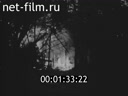 Footage frame