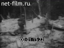 Footage frame