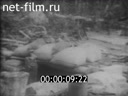Footage frame