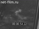 Footage frame