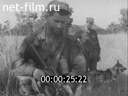 Footage frame