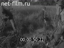 Footage frame