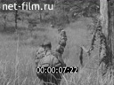 Footage frame