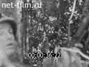 Footage frame