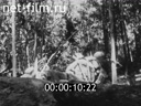 Footage frame
