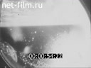 Footage frame