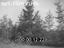 Footage frame