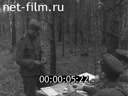 Кадр видео