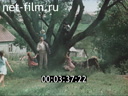 Footage frame
