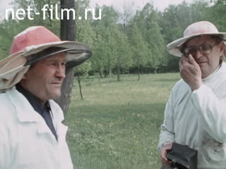 Footage Beekeeper Rahim Batretdinov of the collective farm "Chechkele" of the Tukayevsky district. (1990)