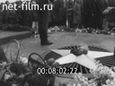 Кадр видео