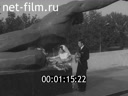 Кадр видео