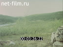 Footage frame