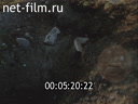 Footage frame