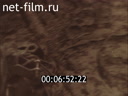 Footage frame