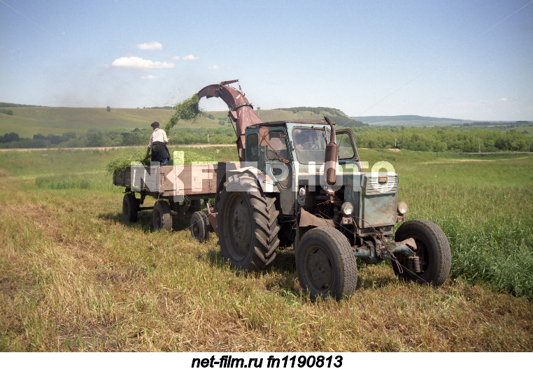 Haymaking in the fields of the Leninogorsk district.
