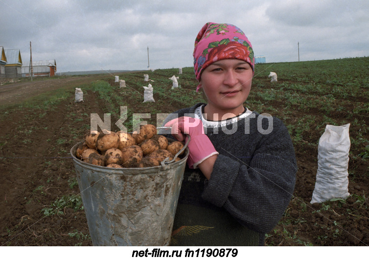 A resident of the Rybno-Slobodsky district during potato harvesting.
