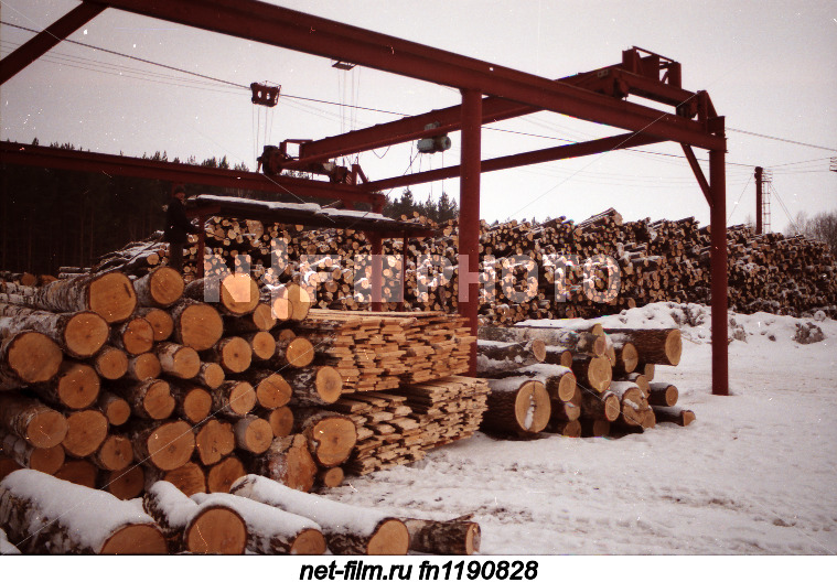 Wood storage in the Mamadysh forestry.
