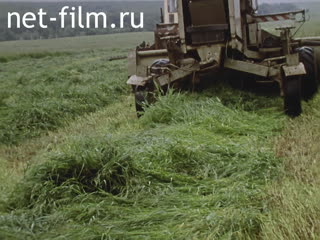 Кинохроника Директор совхоза "Гигант" Зиятдинов. (1990)