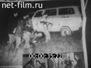 Кадр видео