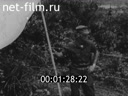 Кадр видео