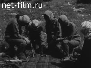 Новости Зарубежные киносюжеты №1982 (1969)