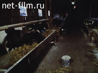 Footage Kalinin collective farm. (1990)
