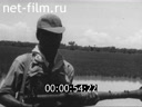 Кадр видео