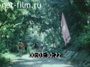 Кадр видео