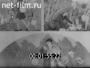 Footage frame