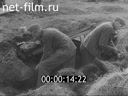 Footage frame