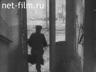 Newsreel War Pictorial News №166 (1944)