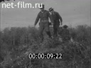 Кадр видео