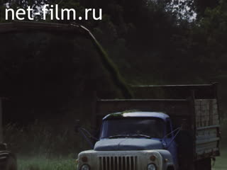 Footage Forage harvesting in the Sabinsky district. (1990)