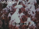 Footage frame