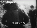 Footage frame