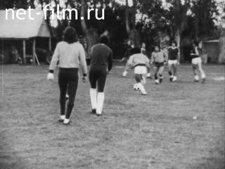 News Foreign newsreels №5618 (1978)