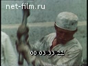 Footage frame