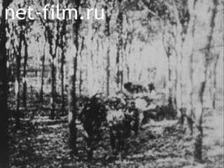 Новости Зарубежные киносюжеты №1189 (1965)