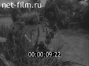 Кадр видео