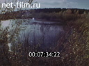 Footage frame